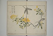 The Mustard Seed Garden Painting Manua} 芥子園畫傳, Wang Gai 王槩 (Chinese, 1645–1710), Set of two woodblock printed books; ink and color on paper, Japan