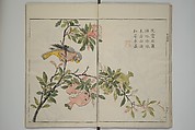 The Mustard Seed Garden Painting Manua} 芥子園畫傳, Wang Gai 王槩 (Chinese, 1645–1710), Set of two woodblock printed books; ink and color on paper, Japan