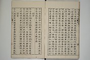 The Mustard Seed Garden Painting Manual  (Japanese reprint)  芥子園畫傳, Wang Gai 王槩 (Chinese, 1645–1710), Set of five woodblock printed books; ink and color on paper, Japan