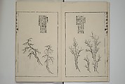 The Mustard Seed Garden Painting Manual  (Japanese reprint)  芥子園畫傳, Wang Gai 王槩 (Chinese, 1645–1710), Set of five woodblock printed books; ink and color on paper, Japan