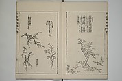 The Mustard Seed Garden Painting Manual  (Japanese reprint)  芥子園畫傳, Wang Gai 王槩 (Chinese, 1645–1710), Set of five woodblock printed books; ink and color on paper, Japan