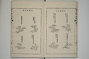 The Mustard Seed Garden Painting Manual  (Japanese reprint)  芥子園畫傳, Wang Gai 王槩 (Chinese, 1645–1710), Set of five woodblock printed books; ink and color on paper, Japan