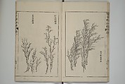The Mustard Seed Garden Painting Manual  (Japanese reprint)  芥子園畫傳, Wang Gai 王槩 (Chinese, 1645–1710), Set of five woodblock printed books; ink and color on paper, Japan