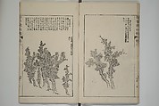 The Mustard Seed Garden Painting Manual  (Japanese reprint)  芥子園畫傳, Wang Gai 王槩 (Chinese, 1645–1710), Set of five woodblock printed books; ink and color on paper, Japan