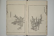 The Mustard Seed Garden Painting Manual  (Japanese reprint)  芥子園畫傳, Wang Gai 王槩 (Chinese, 1645–1710), Set of five woodblock printed books; ink and color on paper, Japan