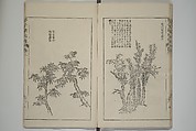 The Mustard Seed Garden Painting Manual  (Japanese reprint)  芥子園畫傳, Wang Gai 王槩 (Chinese, 1645–1710), Set of five woodblock printed books; ink and color on paper, Japan