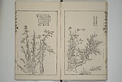 The Mustard Seed Garden Painting Manual  (Japanese reprint)  芥子園畫傳, Wang Gai 王槩 (Chinese, 1645–1710), Set of five woodblock printed books; ink and color on paper, Japan
