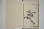 The Mustard Seed Garden Painting Manual  (Japanese reprint)  芥子園畫傳, Wang Gai 王槩 (Chinese, 1645–1710), Set of five woodblock printed books; ink and color on paper, Japan