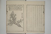 The Mustard Seed Garden Painting Manual  (Japanese reprint)  芥子園畫傳, Wang Gai 王槩 (Chinese, 1645–1710), Set of five woodblock printed books; ink and color on paper, Japan