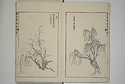 The Mustard Seed Garden Painting Manual  (Japanese reprint)  芥子園畫傳, Wang Gai 王槩 (Chinese, 1645–1710), Set of five woodblock printed books; ink and color on paper, Japan