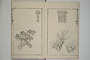 The Mustard Seed Garden Painting Manual  (Japanese reprint)  芥子園畫傳, Wang Gai 王槩 (Chinese, 1645–1710), Set of five woodblock printed books; ink and color on paper, Japan