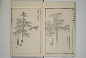 The Mustard Seed Garden Painting Manual  (Japanese reprint)  芥子園畫傳, Wang Gai 王槩 (Chinese, 1645–1710), Set of five woodblock printed books; ink and color on paper, Japan