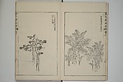 The Mustard Seed Garden Painting Manual  (Japanese reprint)  芥子園畫傳, Wang Gai 王槩 (Chinese, 1645–1710), Set of five woodblock printed books; ink and color on paper, Japan