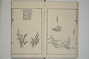 The Mustard Seed Garden Painting Manual  (Japanese reprint)  芥子園畫傳, Wang Gai 王槩 (Chinese, 1645–1710), Set of five woodblock printed books; ink and color on paper, Japan