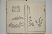 The Mustard Seed Garden Painting Manual  (Japanese reprint)  芥子園畫傳, Wang Gai 王槩 (Chinese, 1645–1710), Set of five woodblock printed books; ink and color on paper, Japan