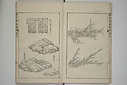 The Mustard Seed Garden Painting Manual  (Japanese reprint)  芥子園畫傳, Wang Gai 王槩 (Chinese, 1645–1710), Set of five woodblock printed books; ink and color on paper, Japan
