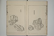 The Mustard Seed Garden Painting Manual  (Japanese reprint)  芥子園畫傳, Wang Gai 王槩 (Chinese, 1645–1710), Set of five woodblock printed books; ink and color on paper, Japan