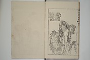 The Mustard Seed Garden Painting Manual  (Japanese reprint)  芥子園畫傳, Wang Gai 王槩 (Chinese, 1645–1710), Set of five woodblock printed books; ink and color on paper, Japan