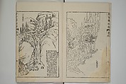 The Mustard Seed Garden Painting Manual  (Japanese reprint)  芥子園畫傳, Wang Gai 王槩 (Chinese, 1645–1710), Set of five woodblock printed books; ink and color on paper, Japan