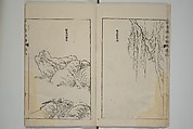 The Mustard Seed Garden Painting Manual  (Japanese reprint)  芥子園畫傳, Wang Gai 王槩 (Chinese, 1645–1710), Set of five woodblock printed books; ink and color on paper, Japan