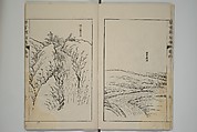 The Mustard Seed Garden Painting Manual  (Japanese reprint)  芥子園畫傳, Wang Gai 王槩 (Chinese, 1645–1710), Set of five woodblock printed books; ink and color on paper, Japan