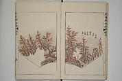 The Mustard Seed Garden Painting Manual  (Japanese reprint)  芥子園畫傳, Wang Gai 王槩 (Chinese, 1645–1710), Set of five woodblock printed books; ink and color on paper, Japan