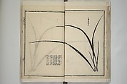 Part 2 from The Mustard Seed Garden Painting Manual (3rd Chinese edition)  芥子園畫傳, Wang Gai 王槩 (Chinese, 1645–1710), Set of four woodblock printed books; ink and color on paper, China