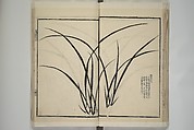 Part 2 from The Mustard Seed Garden Painting Manual (3rd Chinese edition)  芥子園畫傳, Wang Gai 王槩 (Chinese, 1645–1710), Set of four woodblock printed books; ink and color on paper, China