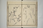 Part 2 from The Mustard Seed Garden Painting Manual (3rd Chinese edition)  芥子園畫傳, Wang Gai 王槩 (Chinese, 1645–1710), Set of four woodblock printed books; ink and color on paper, China