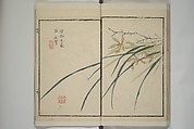 Part 2 from The Mustard Seed Garden Painting Manual (3rd Chinese edition)  芥子園畫傳, Wang Gai 王槩 (Chinese, 1645–1710), Set of four woodblock printed books; ink and color on paper, China