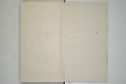 Part 2 from The Mustard Seed Garden Painting Manual (3rd Chinese edition)  芥子園畫傳, Wang Gai 王槩 (Chinese, 1645–1710), Set of four woodblock printed books; ink and color on paper, China