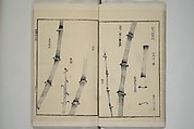 Part 2 from The Mustard Seed Garden Painting Manual (3rd Chinese edition)  芥子園畫傳, Wang Gai 王槩 (Chinese, 1645–1710), Set of four woodblock printed books; ink and color on paper, China