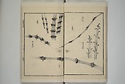 Part 2 from The Mustard Seed Garden Painting Manual (3rd Chinese edition)  芥子園畫傳, Wang Gai 王槩 (Chinese, 1645–1710), Set of four woodblock printed books; ink and color on paper, China