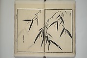 Part 2 from The Mustard Seed Garden Painting Manual (3rd Chinese edition)  芥子園畫傳, Wang Gai 王槩 (Chinese, 1645–1710), Set of four woodblock printed books; ink and color on paper, China