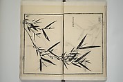 Part 2 from The Mustard Seed Garden Painting Manual (3rd Chinese edition)  芥子園畫傳, Wang Gai 王槩 (Chinese, 1645–1710), Set of four woodblock printed books; ink and color on paper, China