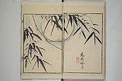 Part 2 from The Mustard Seed Garden Painting Manual (3rd Chinese edition)  芥子園畫傳, Wang Gai 王槩 (Chinese, 1645–1710), Set of four woodblock printed books; ink and color on paper, China