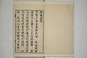 Part 2 from The Mustard Seed Garden Painting Manual (3rd Chinese edition)  芥子園畫傳, Wang Gai 王槩 (Chinese, 1645–1710), Set of four woodblock printed books; ink and color on paper, China
