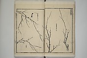 Part 2 from The Mustard Seed Garden Painting Manual (3rd Chinese edition)  芥子園畫傳, Wang Gai 王槩 (Chinese, 1645–1710), Set of four woodblock printed books; ink and color on paper, China