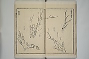 Part 2 from The Mustard Seed Garden Painting Manual (3rd Chinese edition)  芥子園畫傳, Wang Gai 王槩 (Chinese, 1645–1710), Set of four woodblock printed books; ink and color on paper, China