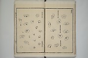 Part 2 from The Mustard Seed Garden Painting Manual (3rd Chinese edition)  芥子園畫傳, Wang Gai 王槩 (Chinese, 1645–1710), Set of four woodblock printed books; ink and color on paper, China