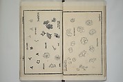 Part 2 from The Mustard Seed Garden Painting Manual (3rd Chinese edition)  芥子園畫傳, Wang Gai 王槩 (Chinese, 1645–1710), Set of four woodblock printed books; ink and color on paper, China