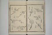 Part 2 from The Mustard Seed Garden Painting Manual (3rd Chinese edition)  芥子園畫傳, Wang Gai 王槩 (Chinese, 1645–1710), Set of four woodblock printed books; ink and color on paper, China