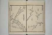 Part 2 from The Mustard Seed Garden Painting Manual (3rd Chinese edition)  芥子園畫傳, Wang Gai 王槩 (Chinese, 1645–1710), Set of four woodblock printed books; ink and color on paper, China