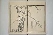 Part 2 from The Mustard Seed Garden Painting Manual (3rd Chinese edition)  芥子園畫傳, Wang Gai 王槩 (Chinese, 1645–1710), Set of four woodblock printed books; ink and color on paper, China