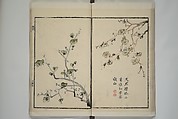 Part 2 from The Mustard Seed Garden Painting Manual (3rd Chinese edition)  芥子園畫傳, Wang Gai 王槩 (Chinese, 1645–1710), Set of four woodblock printed books; ink and color on paper, China