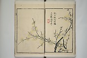Part 2 from The Mustard Seed Garden Painting Manual (3rd Chinese edition)  芥子園畫傳, Wang Gai 王槩 (Chinese, 1645–1710), Set of four woodblock printed books; ink and color on paper, China
