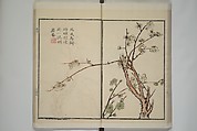 Part 2 from The Mustard Seed Garden Painting Manual (3rd Chinese edition)  芥子園畫傳, Wang Gai 王槩 (Chinese, 1645–1710), Set of four woodblock printed books; ink and color on paper, China