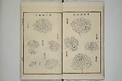 Part 2 from The Mustard Seed Garden Painting Manual (3rd Chinese edition)  芥子園畫傳, Wang Gai 王槩 (Chinese, 1645–1710), Set of four woodblock printed books; ink and color on paper, China