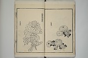 Part 2 from The Mustard Seed Garden Painting Manual (3rd Chinese edition)  芥子園畫傳, Wang Gai 王槩 (Chinese, 1645–1710), Set of four woodblock printed books; ink and color on paper, China