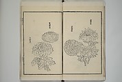 Part 2 from The Mustard Seed Garden Painting Manual (3rd Chinese edition)  芥子園畫傳, Wang Gai 王槩 (Chinese, 1645–1710), Set of four woodblock printed books; ink and color on paper, China